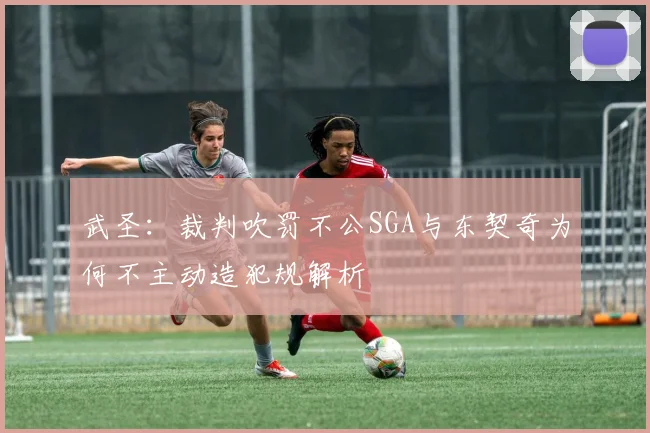 武圣：裁判吹罚不公SGA与东契奇为何不主动造犯规解析
